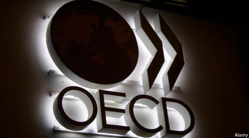 OECD Türkiye ekonomisi için 2024 büyüme tahminini yukarı yönlü revize etti